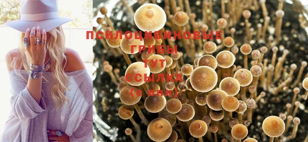 гашишное масло Каменногорск